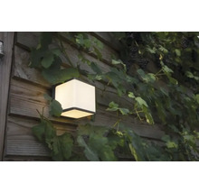 Lumină de perete pătrată cu plante pe un perete de lemn