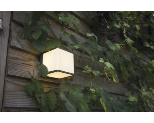 Lumină de perete pătrată cu plante pe un perete de lemn