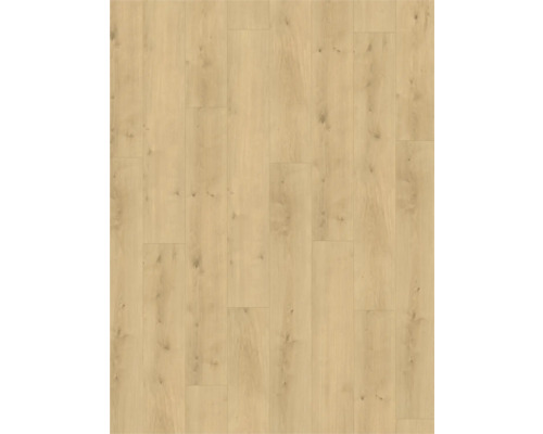 Pardoseală vinil PARADOR 8 mm stejar pure nature | HORNBACH