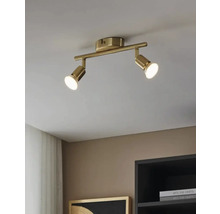 Lumină de plafon cu două spoturi