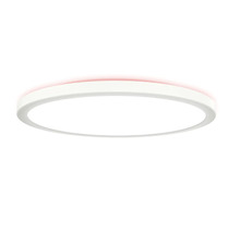 Lumină de plafon rotundă