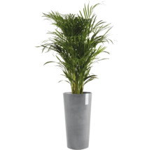 Ghiveci Ecopots Amsterdam plastic Ø 47 cm H 91 cm gri