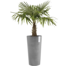 Ghiveci Ecopots Amsterdam plastic Ø 47 cm H 91 cm gri
