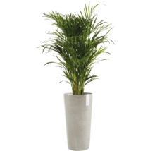 Ghiveci Ecopots Amsterdam plastic Ø 47 cm H 91 cm nisipiu