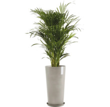 Ghiveci Ecopots Amsterdam plastic Ø 47 cm H 91 cm nisipiu