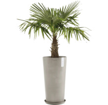 Ghiveci Ecopots Amsterdam plastic Ø 47 cm H 91 cm nisipiu