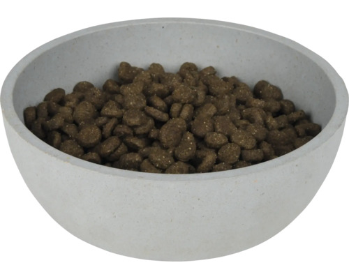 Bol plin cu mâncare uscată pentru câini