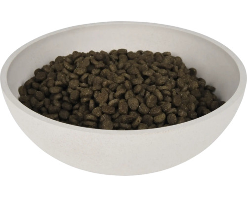 Mâncare pentru câini într-un castron