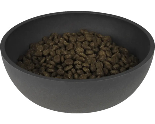 Bol plin cu hrană uscată pentru câini