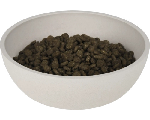 Castron cu hrană uscată pentru câini sau pisici