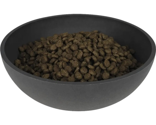 Bol negru umplut cu hrană pentru câini