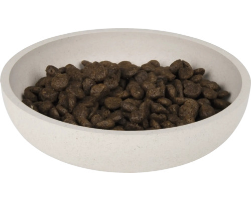 Mâncare pentru câini într-un bol