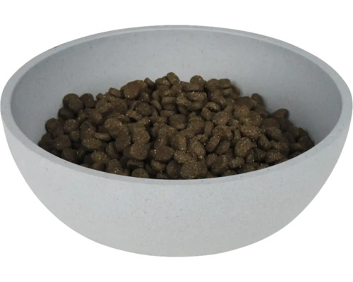 Bol umplut cu hrană uscată pentru câini