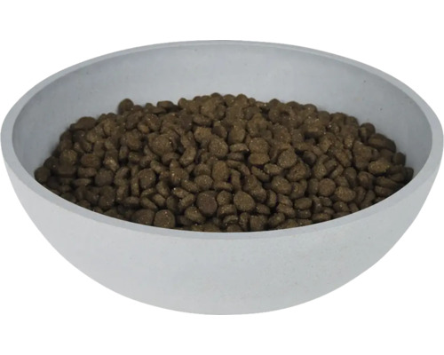 Bol cu mâncare uscată