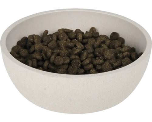 Bol cu hrană umplut cu hrană uscată pentru animale