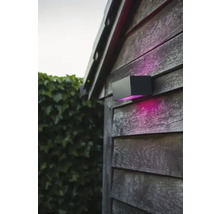 Lumină de exterior neagră pe un perete de lemn