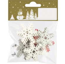 Pachet cu fulgi de zăpadă pentru decorare