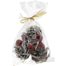 Decorațiune cu conuri și fructe de pădure în ambalaj transparent