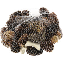 Conuri de pin într-o plasă