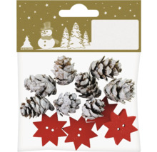 Set decorativ cu conuri și stele din lemn în pungă