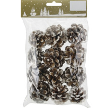 Pachet de conuri de pin pentru decorațiuni de Crăciun