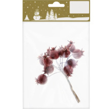 Crenguțe decorative cu fructe de pădure în pachet