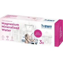 Cartuș filtrant BWT magneziu, 3 bucăți