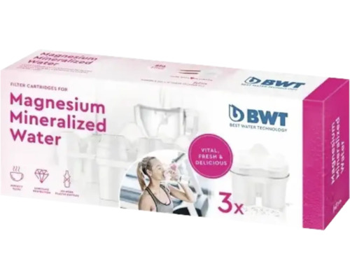 BWT Magnesium Mineralized Water Cartușe filtrante pachet de trei