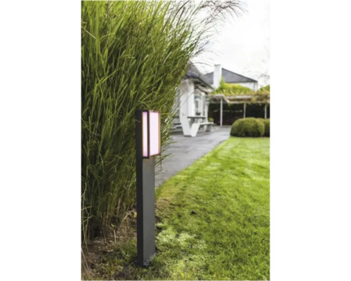 Vedere a grădinii cu o potecă și o lampă de soclu dreptunghiulară.