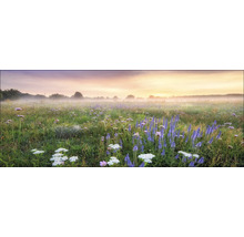 Tablou sticlă Morning Haze 125x50 cm