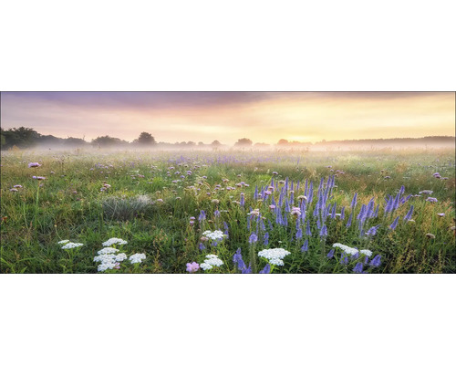 Tablou sticlă Morning Haze 125x50 cm