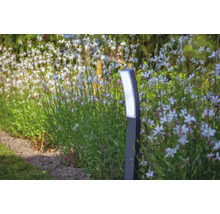 Stâlp iluminat cu LED integrat Kira 19W 1200 lumeni, lumină reglabilă, 74 cm, pentru exterior IP54, gri închis