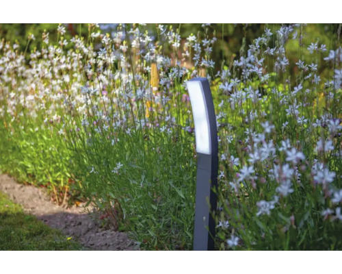 Peisaj de grădină cu strat de flori și corp de iluminat pentru căi