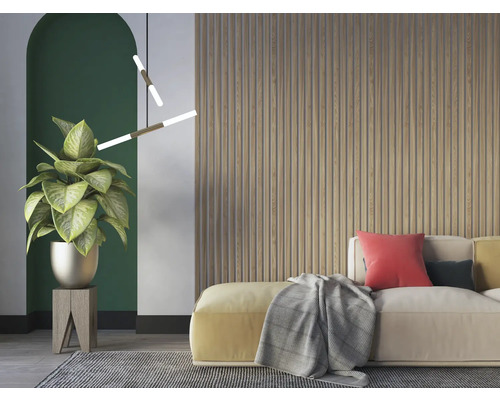 Living cu plantă în ghiveci, lampă de tavan și canapea