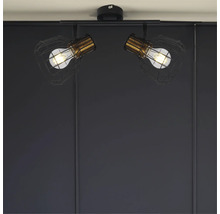 Lumină de plafon cu două lămpi în design industrial
