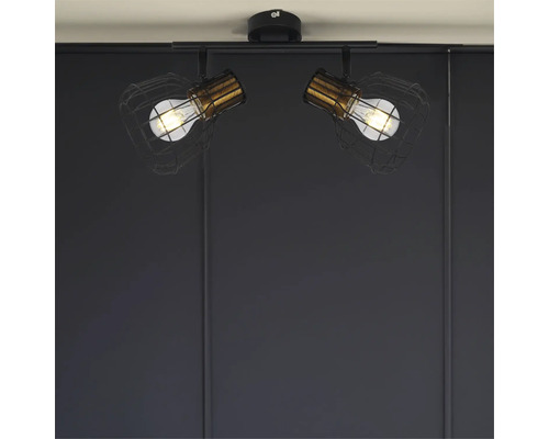 Lumină de plafon cu două lămpi în design industrial