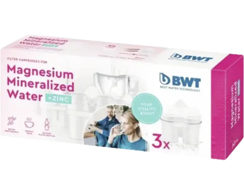 Cartușe filtrante pentru apă mineralizată cu magneziu BWT, set de 3 bucăți