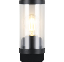 Lampă de masă cu abajur transparent și sursă de lumină