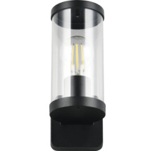 Lampa de perete neagră cu abajur transparent și bec