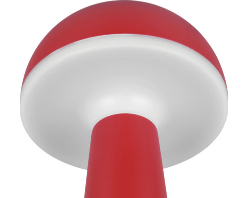 Ciupercă decorativă pentru interior