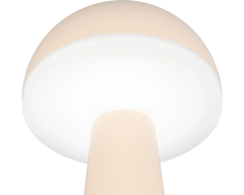 Veioză LED Fungo 2W 200 lumeni, lumină reglabilă, pentru exterior IP54, încărcare USB, roz coral Veioză LED Fungo 2W 200 lumeni, lumină reglabilă, pentru exterior IP54, încărcare USB, roz coral