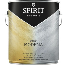 Găleată de vopsea cu vopsea Spirit Fine Paints Effect Modena