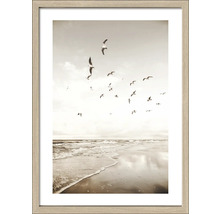 Tablou înrămat Seagulls On The Beach II 53x73 cm