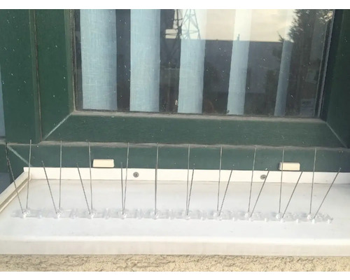 Țepi anti-porumbei pe o pervază de fereastră pentru descurajarea păsărilor.