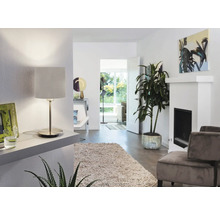 Interior cu lampă de masă, covor și plantă de interior pentru o atmosferă primitoare