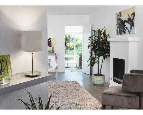 Interior cu lampă de masă, covor și plantă de interior pentru o atmosferă primitoare