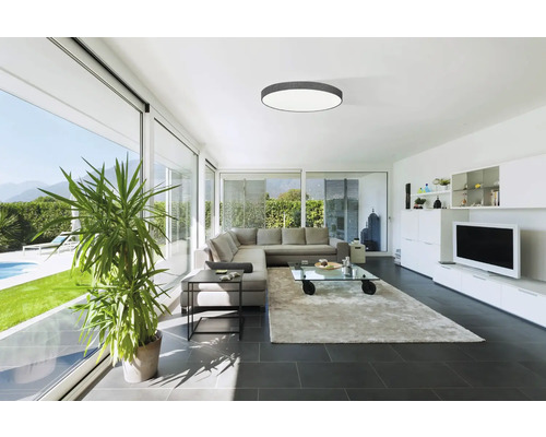 Living luminos cu canapea, măsuță de cafea, plantă de interior și plafonieră