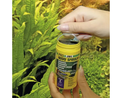 Cutie cu hrană pentru pești JBL Pro Novo Spirulina în mână în fața plantelor de acvariu