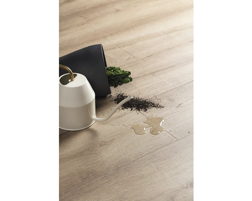 Podea laminată cu pământ și apă vărsate lângă o stropitoare și un ghiveci răsturnat