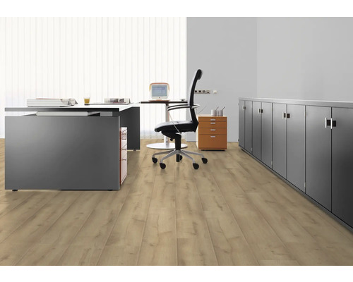 Birou cu birou, scaun de birou, container mobil și podea laminată